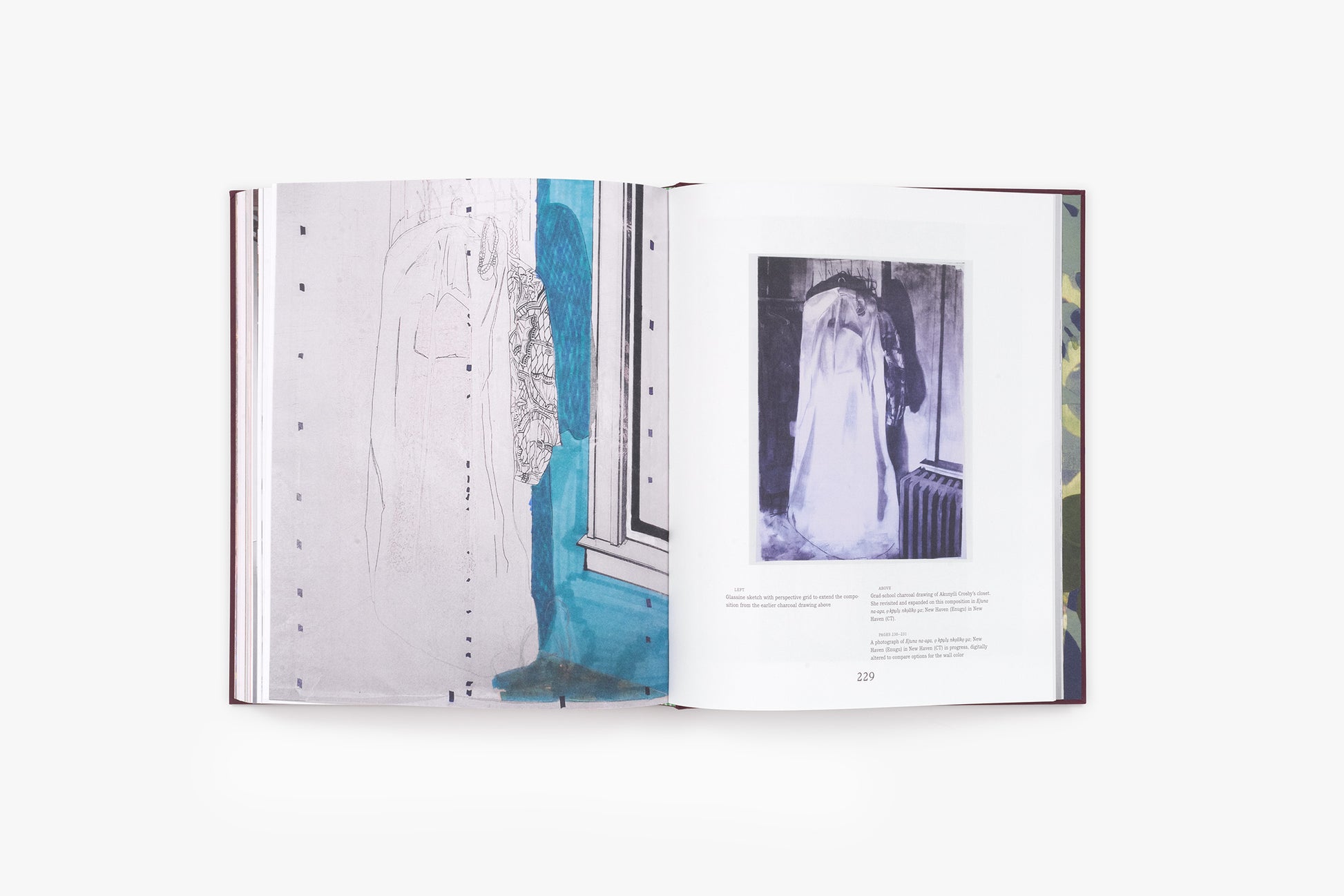 Ndjideka Akunyili Crosby